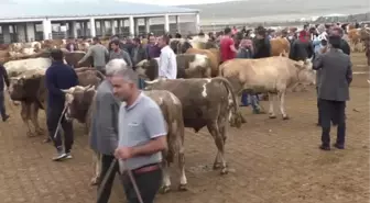 Kuraklık kurban satışlarını olumsuz etkiledi