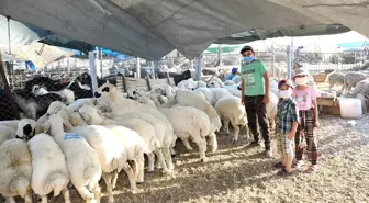 Meram Belediyesi Kurban Bayramı'na hazır