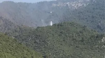 Forest fires in Hatay and Mersin are brought under control