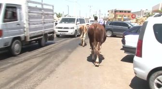 Kurban Pazarı'nda arefe günü yoğunluğu