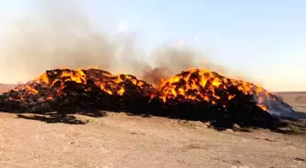 Haymana'da 5 bin balya saman yanarak kül oldu