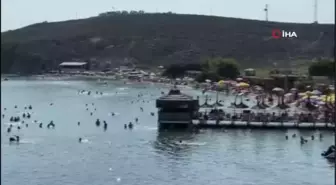 Avşa Adası nüfusunun 15 katını ağırlıyor