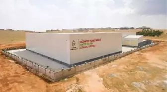 Son dakika haberi! Bakan Varank Antep fıstığı elektronik ortamda alınıp satılacak