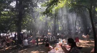 BELGRAD ORMANI'NDA KURBAN BAYRAMI YOĞUNLUĞU