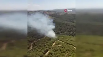 Son dakika haber... İzmir'de ormanlık alanda yangın