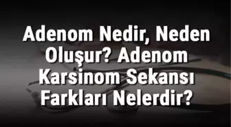 Adenom Nedir, Neden Oluşur? Adenom Karsinom Sekansı Farkları Nelerdir?