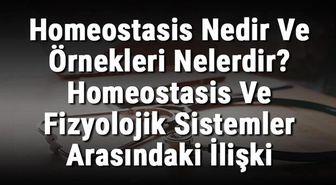 Homeostasis Nedir ve Örnekleri Nelerdir? Homeostasis ve Fizyolojik Sistemler Arasındaki İlişki