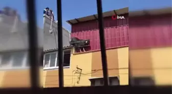 Kurbanlık keçi çatıdan düştü