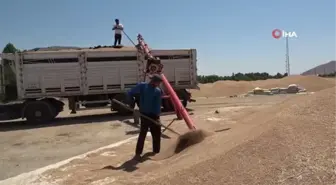 Muş'ta buğday satışlarına başlandı