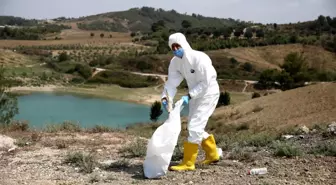 Ölüme terk edilen civcivler toplanmaya başladı