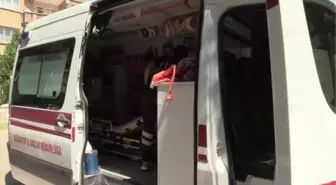 Son dakika: GAZİANTEP - Yaralı kuşa pansuman yapan 112 ekibinden Bakan Koca'ya teşekkür