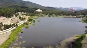 Gölcük Yaylası bayram tatilinde doldu taştı