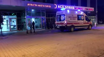 Arının soktuğu şahıs hayatını kaybetti