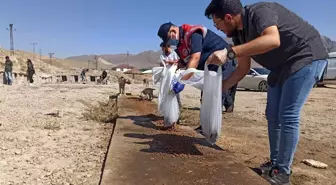 Bayram tatilinde sokak hayvanları unutulmadı