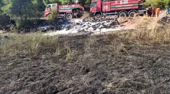 Erken müdahale yangının ormana sıçramasını önledi