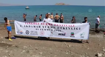 '2. Akdamar Adası Yüzme Festivali' düzenlendi