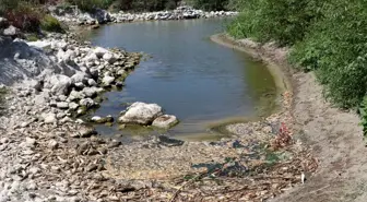 Asi Nehri'nde balık ölümleri görülmesi üzerine çalışma başlatıldı