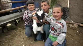 'Haydi Gel Köyümüze Destek Verelim' Projesi Yeni Doğumlarla Bereketleniyor