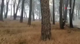 Son dakika haber! İtalya'nın Sardunya Adası'nda büyük yangın