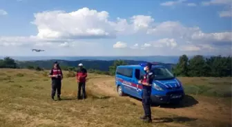 Son dakika haberi... Kaybolan 3 adet büyükbaş hayvan jandarmanın drone çalışması ile bulundu