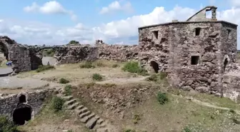 Tarihi Rumeli Feneri Kalesi ahıra döndü