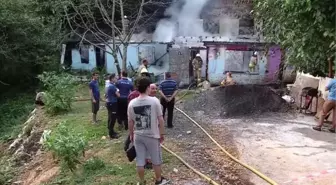 Sarıyer'de gecekonduda çıkan ve ormanlık alana da sıçrayan yangın söndürüldü