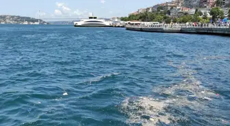 Üsküdar'da kıyıya vuran çöplerin oluşturduğu kirlilik çevredekileri rahatsız etti