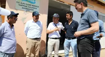 Alpu'da binlerce ton yem bitkisinin paketleneceği proje onaylandı