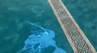 Denizli'de camiye çirkin saldırı