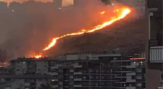 Otluk alanda çıkan yangın söndürüldü