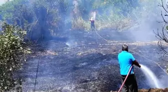 Son dakika haber! Karacasu'daki arazi yangını kontrol altına alındı