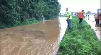 Pazar ilçesinde sağanak dolayısıyla dere taştı