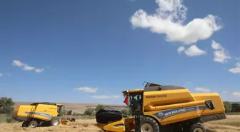 Çolakbayrakdar, Kızık'ta çiftçilerin buğday hasadına katıldı