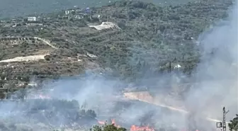 Son dakika: HATAY'DA BAHÇE YANGINI