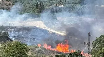 Son dakika haberleri! Hatay'da bahçe yangını korkuttu