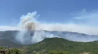 Son dakika! Akseki ilçesinde orman yangını çıktı (3)