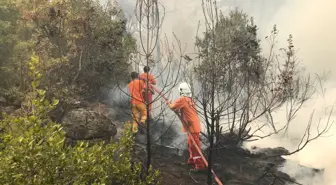 Alanya'da çıkan orman yangınına havadan ve karadan müdahale ediliyor