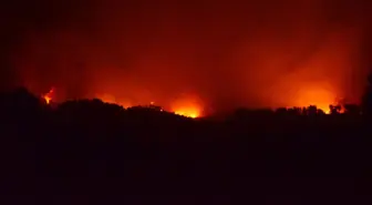 Antalya'nın Akseki ilçesinde orman yangını çıktı