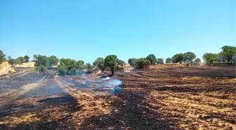 Son dakika haberi... Gediz'de arazi yangını