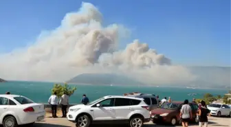 Son dakika... Mersin Aydıncık'taki orman yangını ikinci gününde (3)