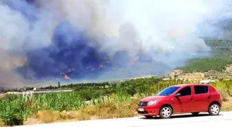 Mersin'in 2 ilçesindeki yangınlar sürüyor