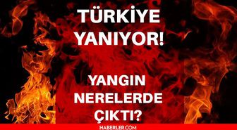 Yangınlar nerede çıktı? Nerede yangın var? Manavgat, Milas, Bodrum, Marmaris, Didim, Kocaeli, Kütahya, Osmaniye, Adana, Kayseri, Ankara