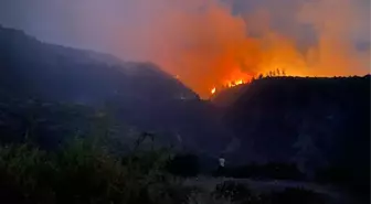 Orman yangını çıkarmaya çalışan yabancı uyruklu 2 PKK'lı terörist yakalandı