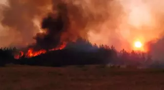 Adana Aladağ'daki orman yangını iki ilçeye daha sıçradı