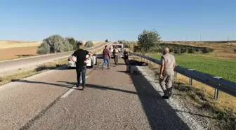 Son dakika haberleri... Kırşehir'de bariyerlere çarpan motosikletin sürücüsü öldü