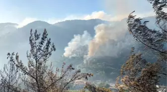 Son dakika haberi... Marmaris'te orman yangını; alevler yerleşim yerine 100 metre kadar yaklaştı, 1 ölü