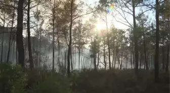 Marmaris'teki orman yangınına müdahale karadan devam ediyor