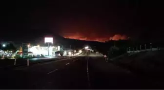 Mersin Aydıncık'taki orman yangını ikinci gününde