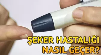 Şeker hastalığına ne iyi gelir ve nasıl geçer? Şeker hastalığı neden olur? Şeker hastalığına iyi gelen meyve, sebze, doğal ve bitkisel çözümler