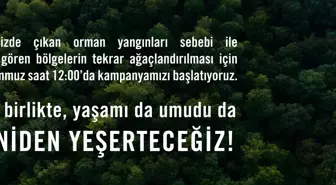 TEMA fidan bağışı! TEMA fidan bağışı ne kadar?